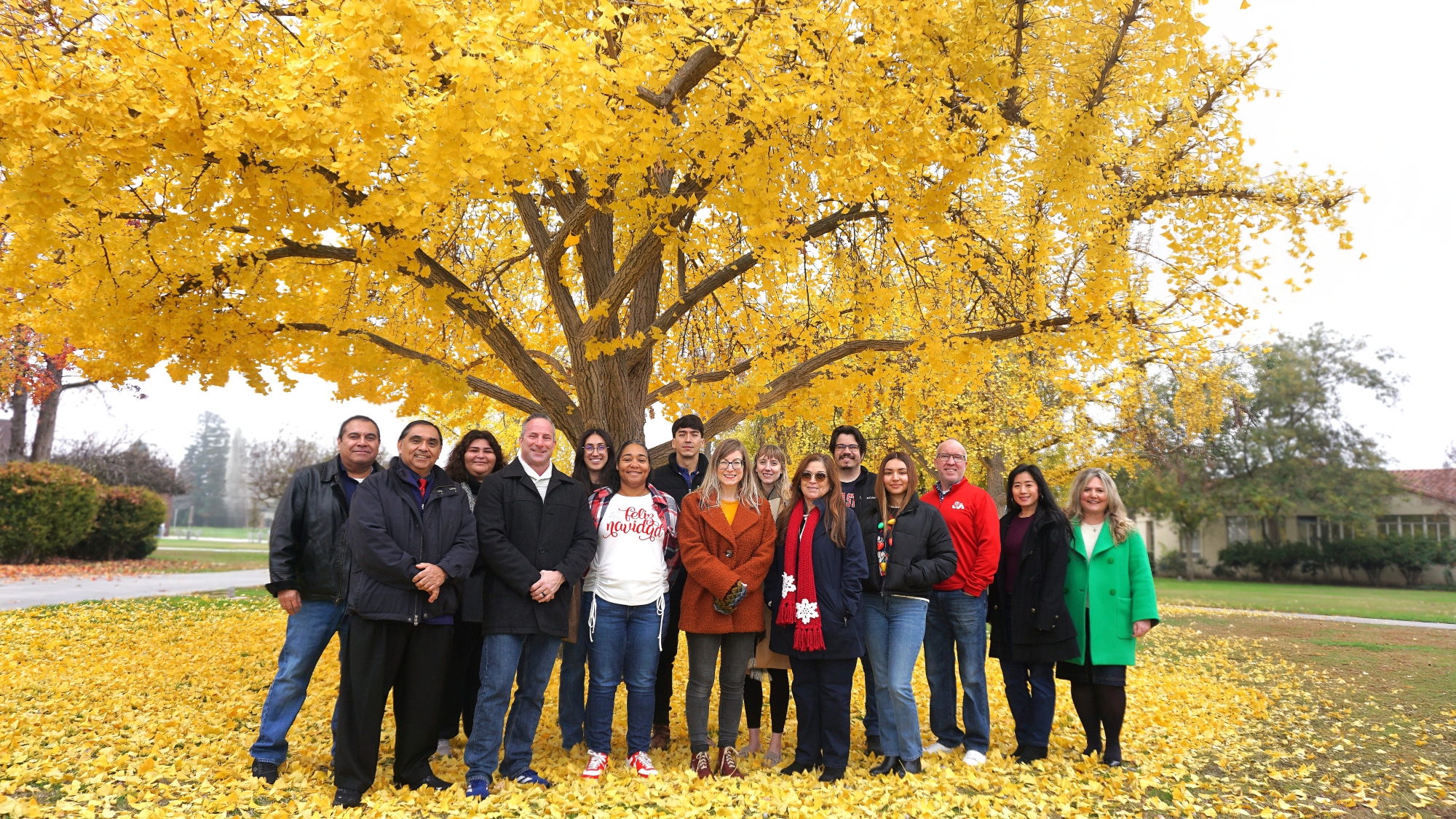 A photo of the CHHS Advising and Dean's Office staff standing together on grass in front of a Gingko tree with yellow leaves.