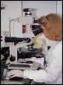 Researcher using microscope