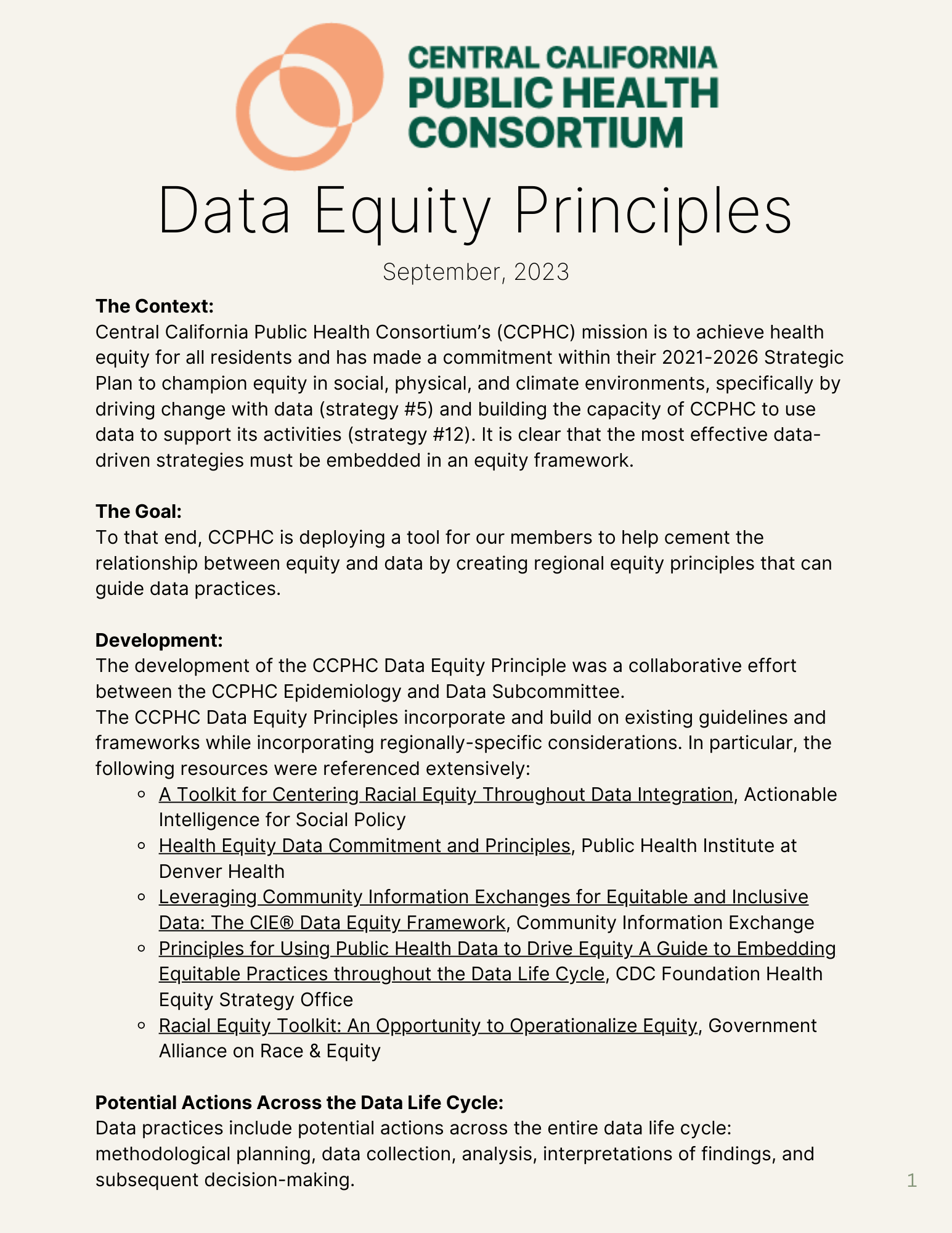 Data Equity Principles 