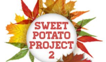 Sweet Potato Project