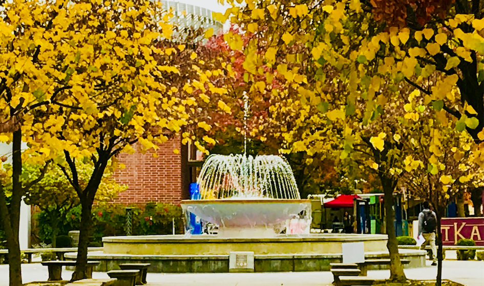 Fountain in Fall