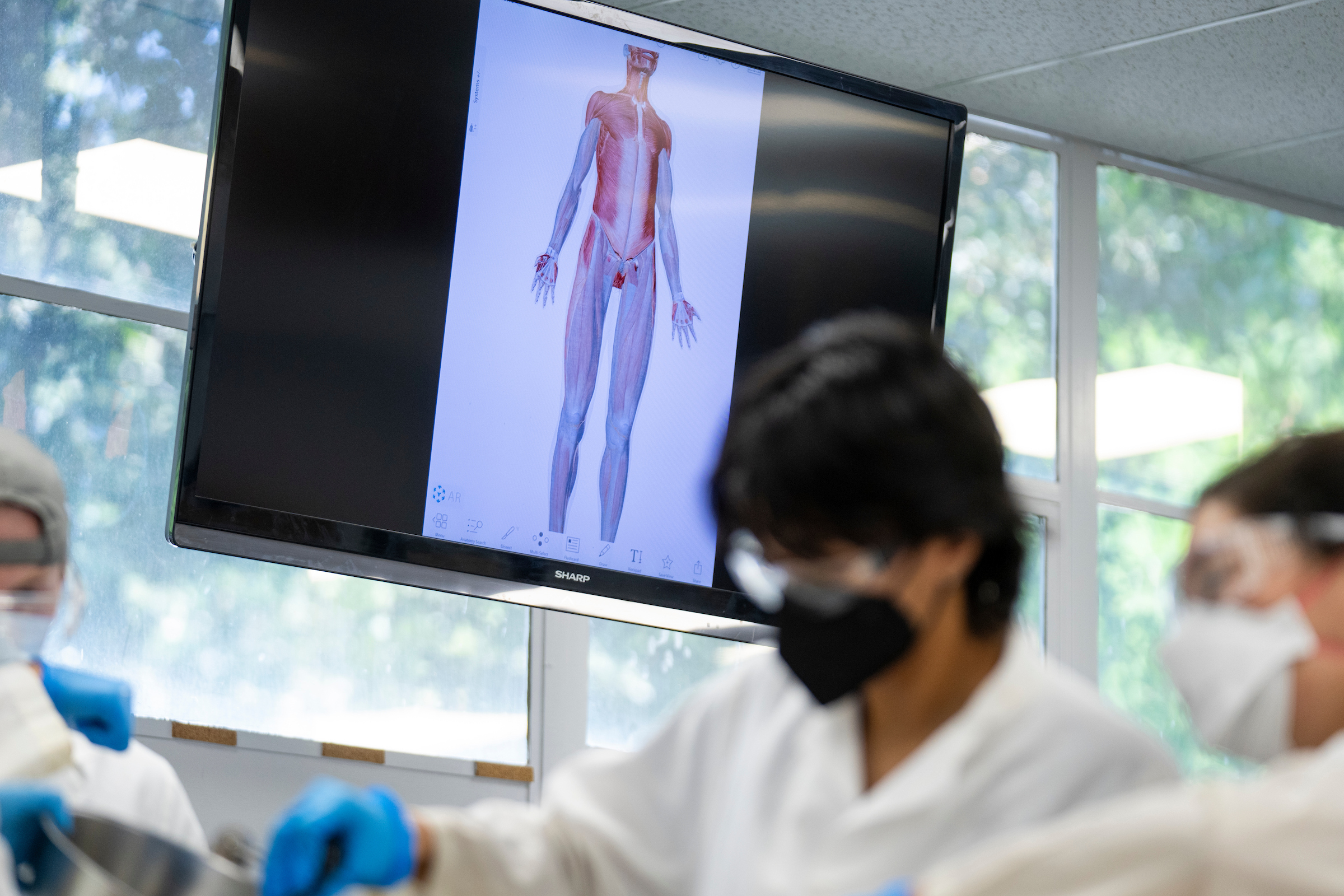 Photo of students at human anatomy lab