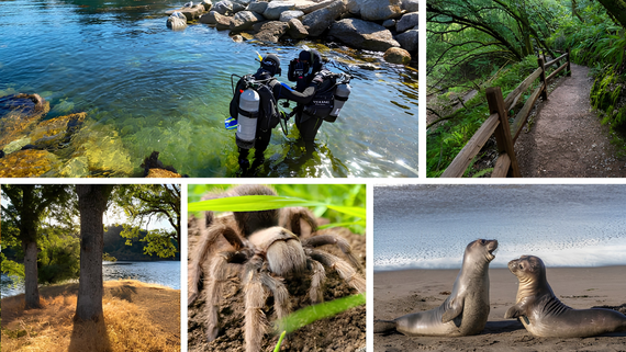 CA state parks photos