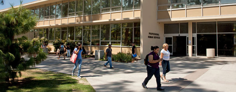 Department of Social Work Education - Department of Social Work Education