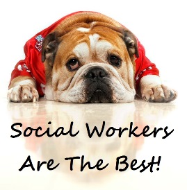 bulldog wearing shirt; social workers are the best