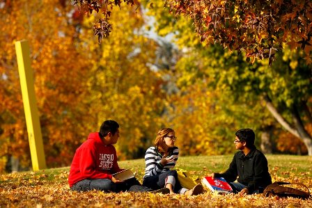 3 students on top of hill studying