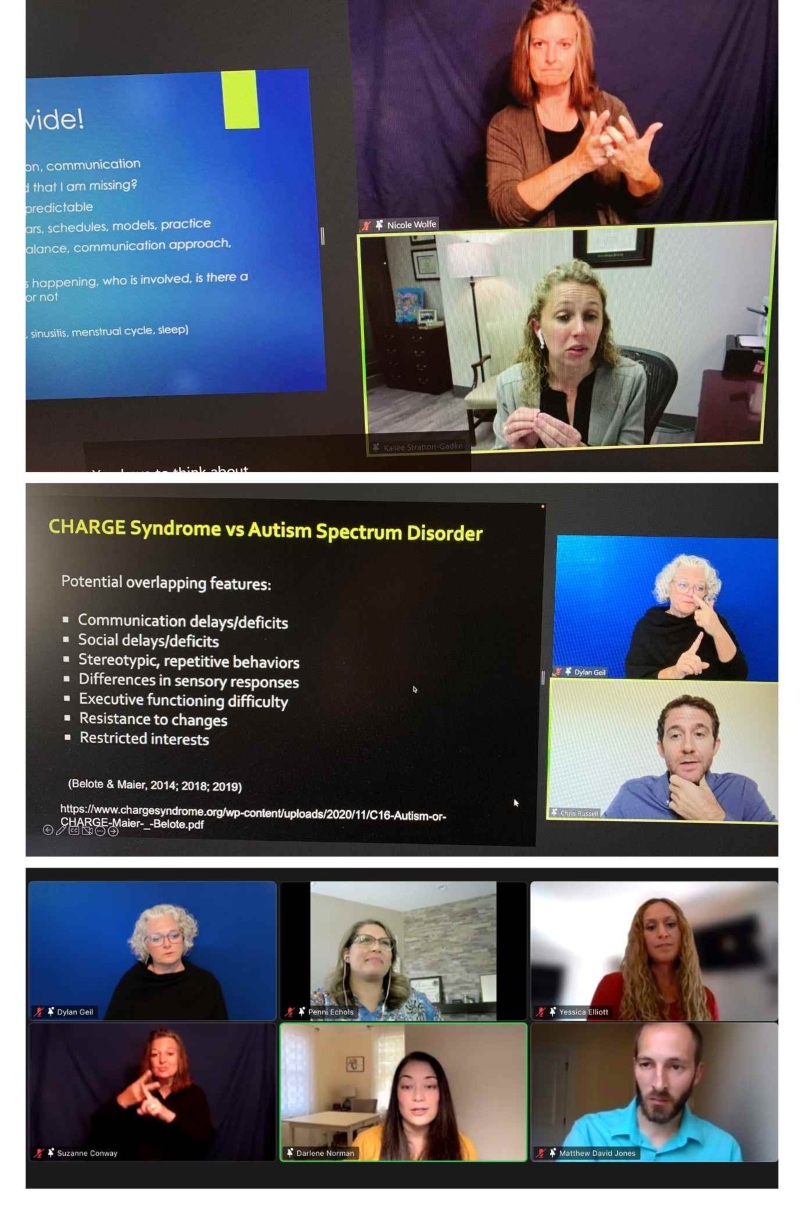 Zoom screen showing various presenters